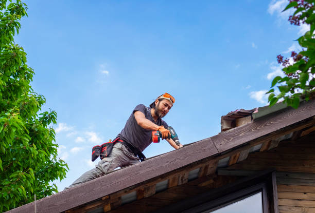 Best Steel Roofing  in Madison Heights, VA