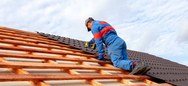 Best Roof Maintenance and Cleaning  in Madison Heights, VA